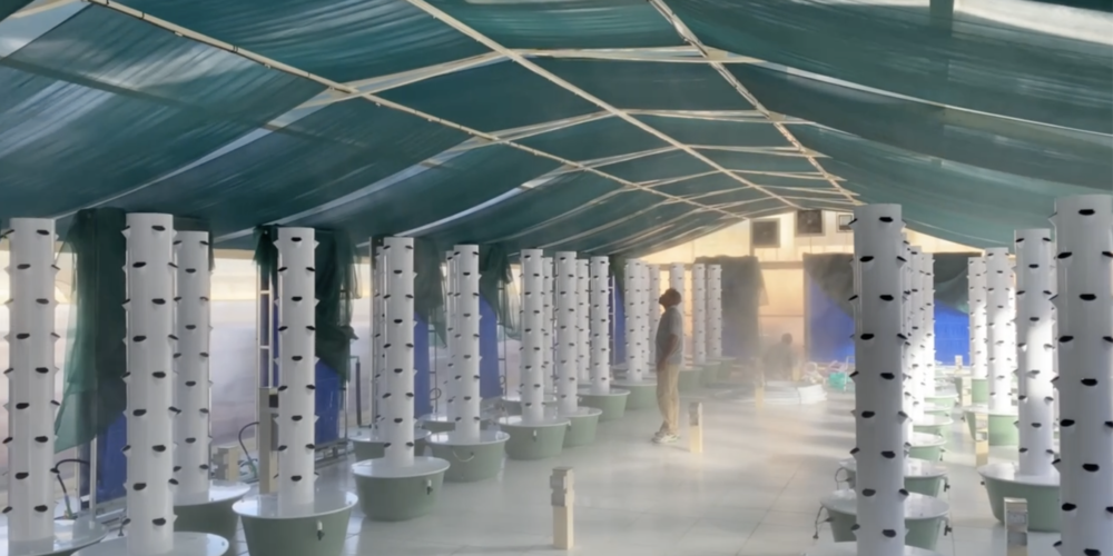 greenhouse cooling systems